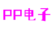 北京市PP电子电子科技有限公司